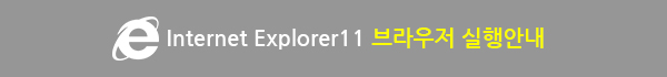 Internet Explorer11  ȳ